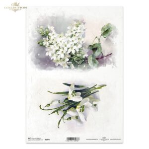 Rižin papir A4-R1974