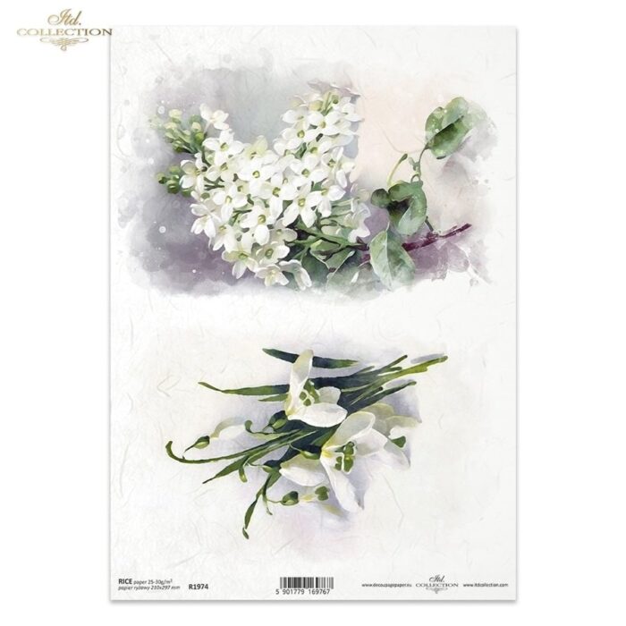 Rižin papir A4-R1974