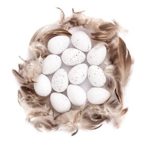 Prepeličja jaja i perje dp Craft-bijela