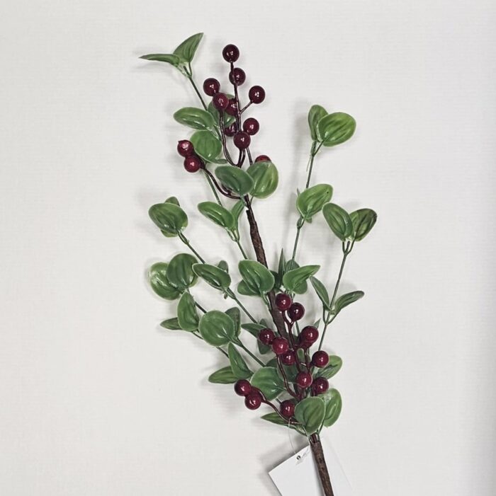 Grana eukaliptusa s crvenim bobicama 70 cm