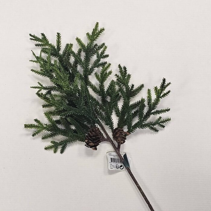 Grana bora zelena sa češerima cca 35 cm