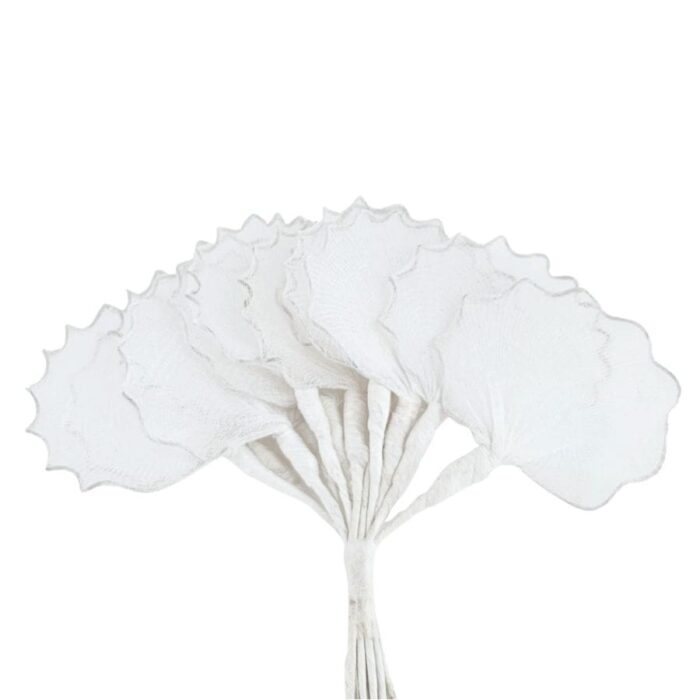 Lepeza cca 4 cm 12 komada