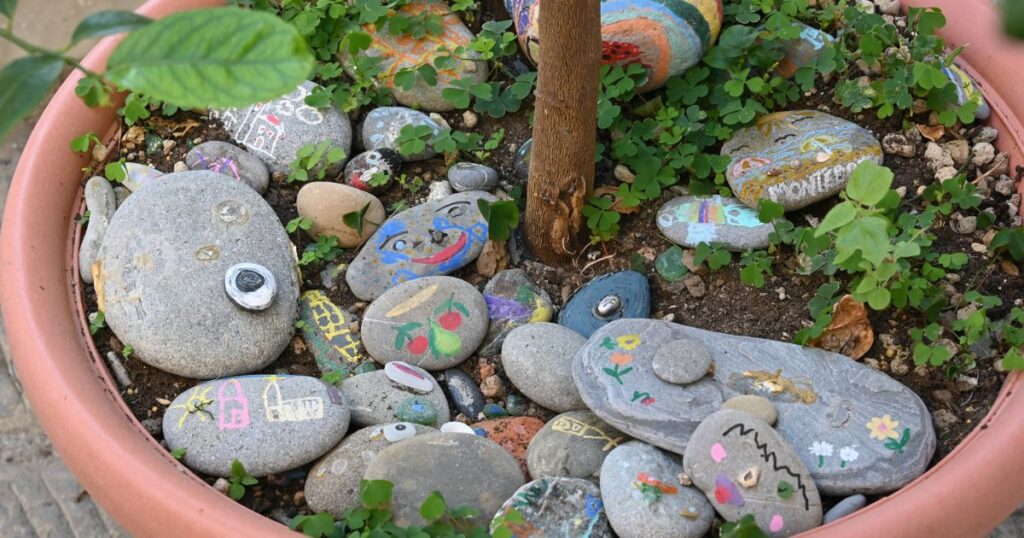 Oslikani kamenčići u tegli za cvijeće
