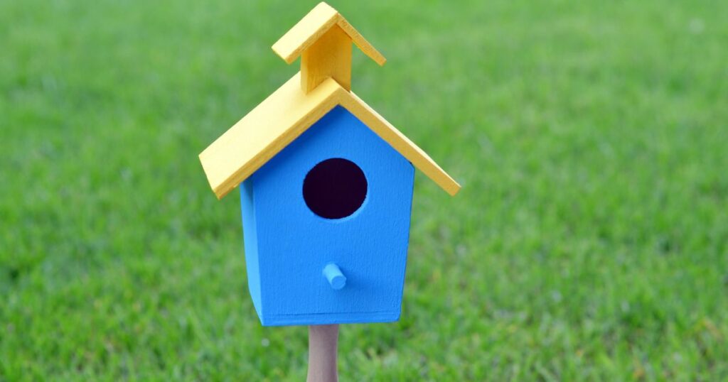 Kućica za ptice ofarbana u plavu i žutu boju
