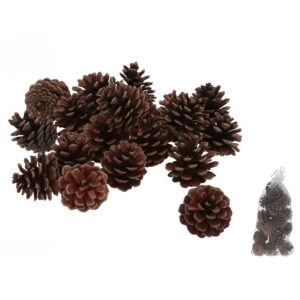 Dekorativni češeri 6 cm set 20 komada