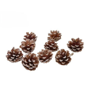 Zasnježeni dekorativni češeri 4 cm set 9 komada