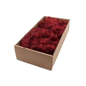 Početna 5 Dekorativna mahovina bordo 500 g